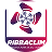 Ribbaclim logo